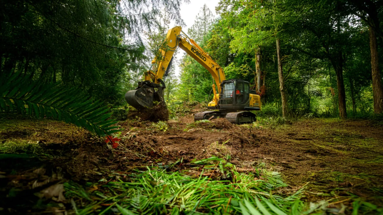Excavator with a grapple working brush on a green wooded lot
