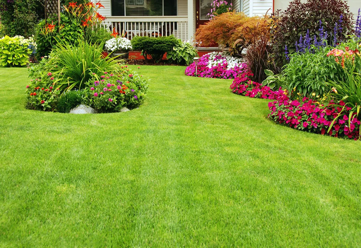 Established green lawn and planting beds along the front of a house