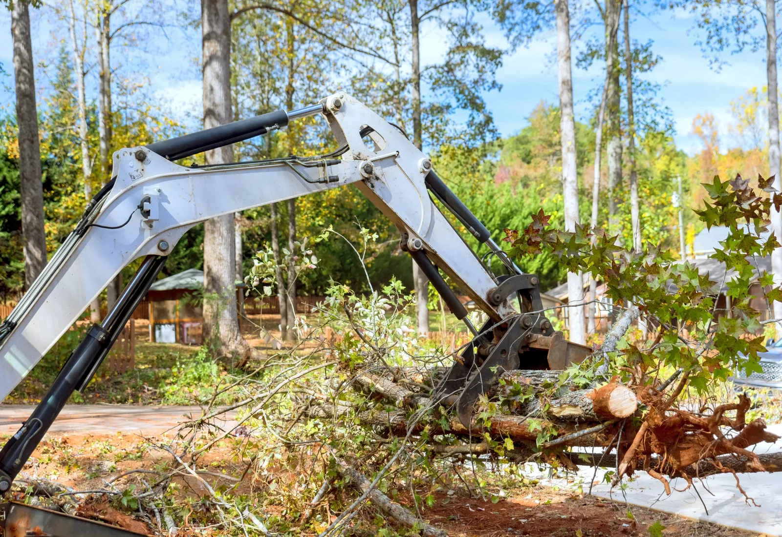 Excavator arm gripping cut trees and brush while opening a wooded building lot